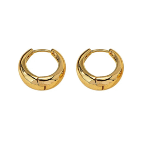 Golden Curve Earrings