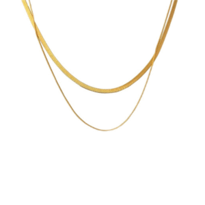 Golden Duo Necklace